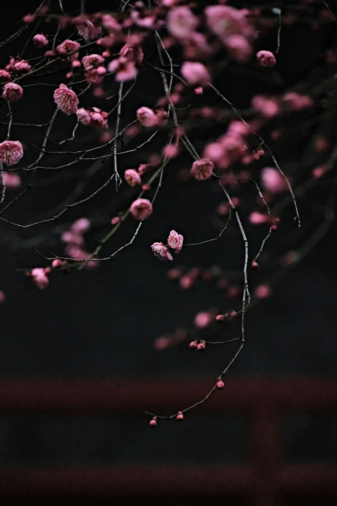 《子夜归》剧情讲了什么 电视剧子夜归讲什么？